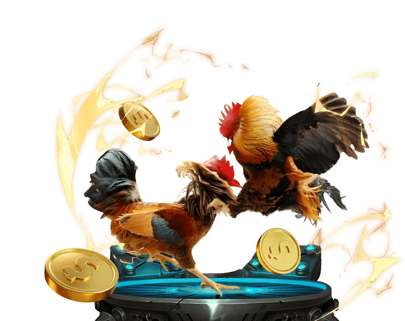 Cá cược di động nbet88